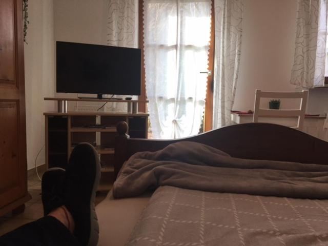 Ferienwohnungen Hanke Barbara 皮丁 外观 照片